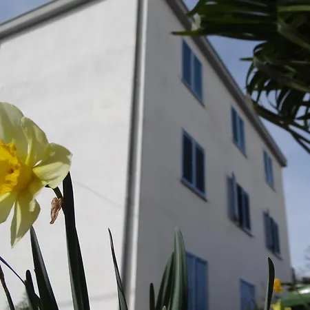 Apartman Marin *